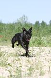 STAFFIE 032